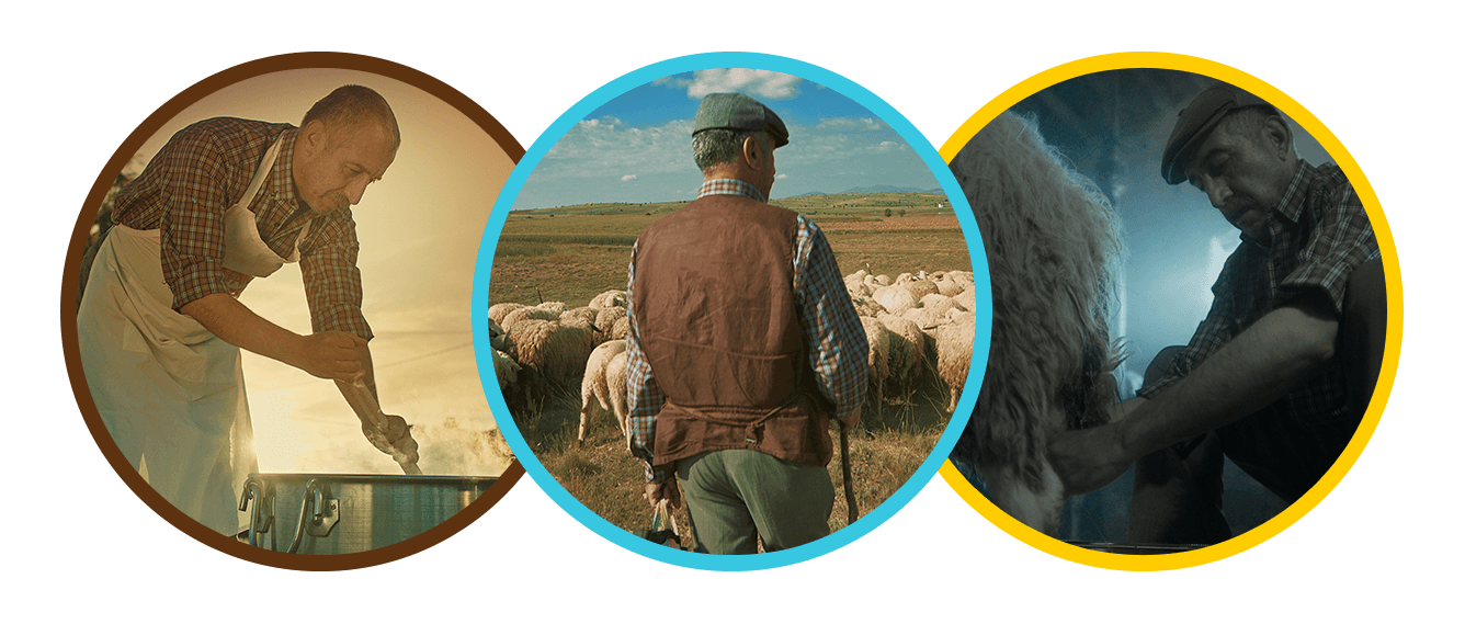 subheader-aragorsel-blog